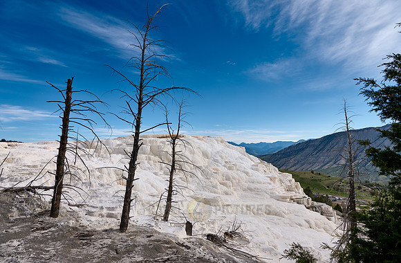 Canary Spring, Mammoth Hot Springs, Yellowstone National Park