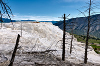 Canary Spring, Mammoth Hot Springs, Yellowstone National Park