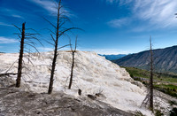 Canary Spring, Mammoth Hot Springs, Yellowstone National Park
