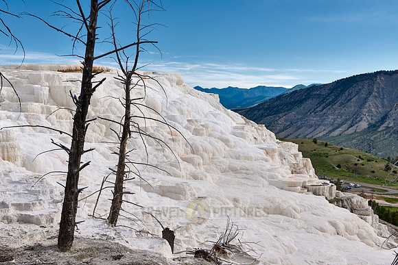 Canary Spring, Mammoth Hot Springs, Yellowstone National Park