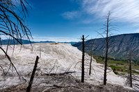 Canary Spring, Mammoth Hot Springs, Yellowstone National Park