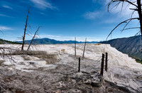 Canary Spring, Mammoth Hot Springs, Yellowstone National Park