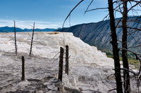 Canary Spring, Mammoth Hot Springs, Yellowstone National Park