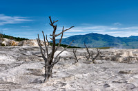 Mammoth Hot Springs, Yellowstone National Park