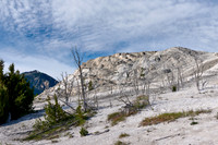 Minerva Terrace, Mammoth Hot Springs, Yellowstone National Park