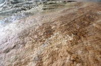 Mound Spring and Jupiter Terrace, Mammoth Hot Springs, Yellowstone National Park