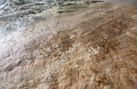 Mound Spring and Jupiter Terrace, Mammoth Hot Springs, Yellowstone National Park