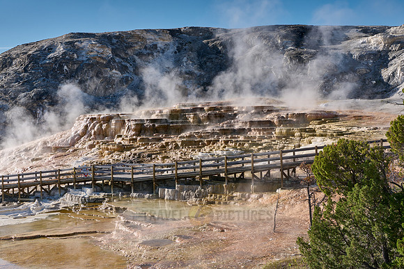 Mound Spring and Jupiter Terrace, Mammoth Hot Springs, Yellowstone National Park