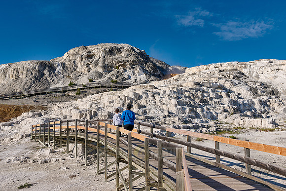 Minerva Terrace, Mammoth Hot Springs, Yellowstone National Park