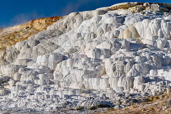 Palette Spring, Mammoth Hot Springs, Yellowstone National Park