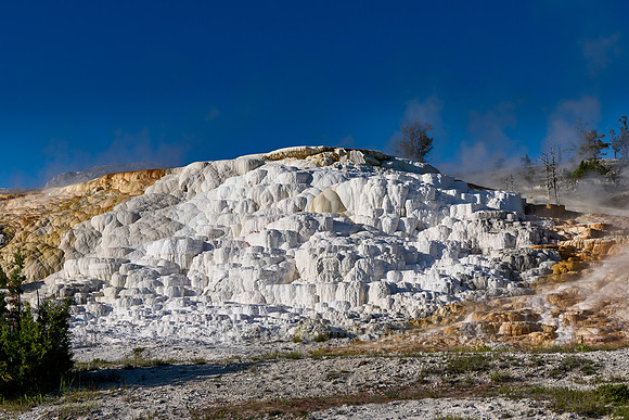 Palette Spring, Mammoth Hot Springs, Yellowstone National Park