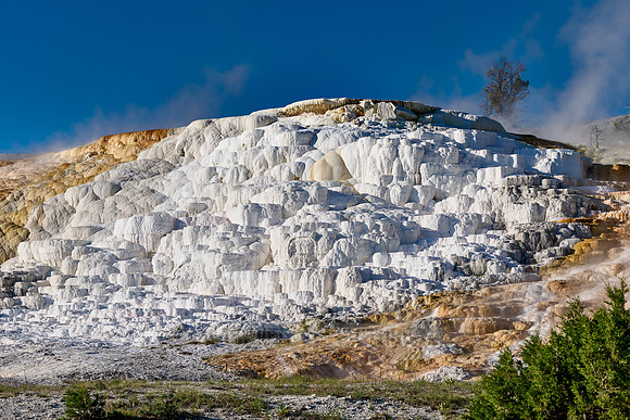 Palette Spring, Mammoth Hot Springs, Yellowstone National Park