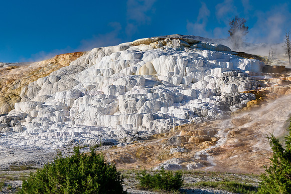 Palette Spring, Mammoth Hot Springs, Yellowstone National Park