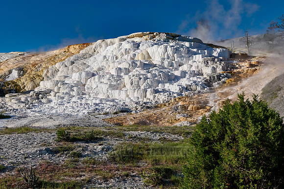 Palette Spring, Mammoth Hot Springs, Yellowstone National Park
