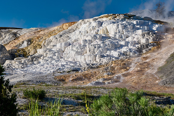 Palette Spring, Mammoth Hot Springs, Yellowstone National Park