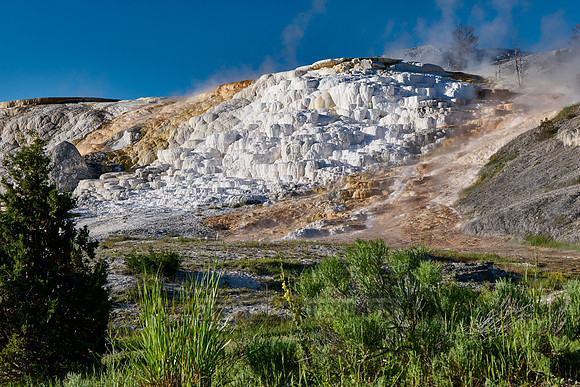 Palette Spring, Mammoth Hot Springs, Yellowstone National Park