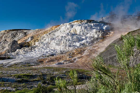 Palette Spring, Mammoth Hot Springs, Yellowstone National Park