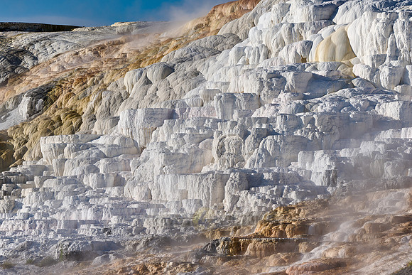 Palette Spring, Mammoth Hot Springs, Yellowstone National Park