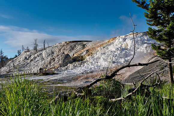 Palette Spring, Mammoth Hot Springs, Yellowstone National Park