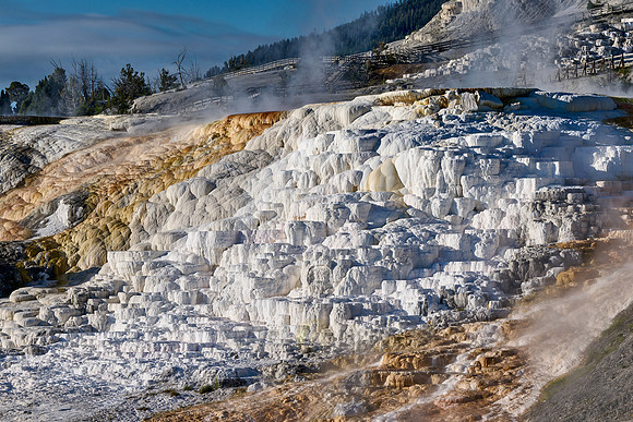 Palette Spring, Mammoth Hot Springs, Yellowstone National Park