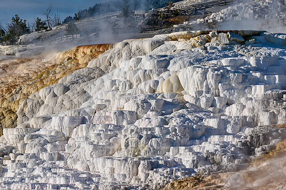 Palette Spring, Mammoth Hot Springs, Yellowstone National Park