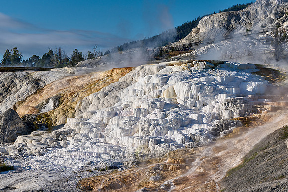 Palette Spring, Mammoth Hot Springs, Yellowstone National Park