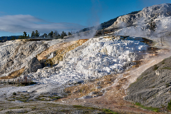 Palette Spring, Mammoth Hot Springs, Yellowstone National Park