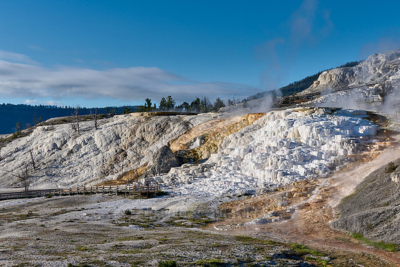Palette Spring, Mammoth Hot Springs, Yellowstone National Park