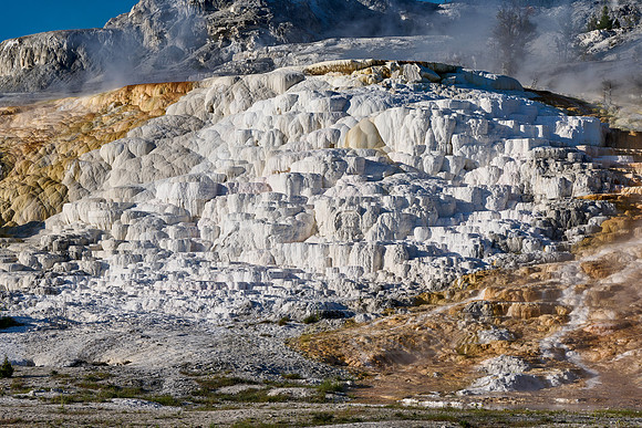 Palette Spring, Mammoth Hot Springs, Yellowstone National Park