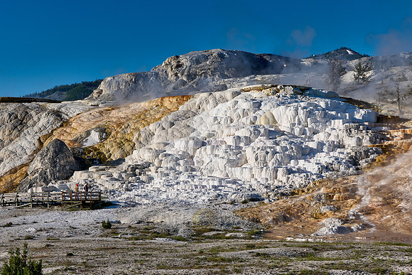 Palette Spring, Mammoth Hot Springs, Yellowstone National Park
