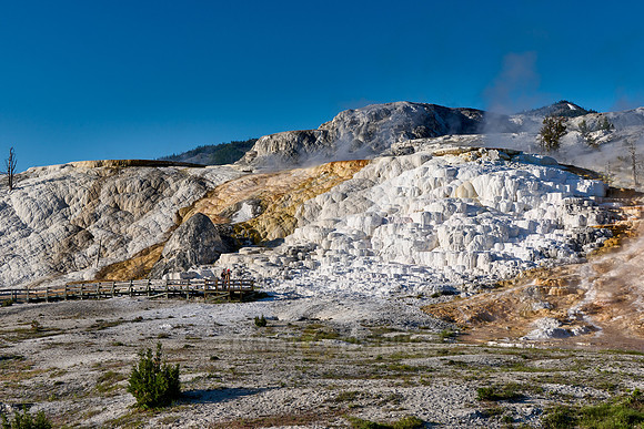 Palette Spring, Mammoth Hot Springs, Yellowstone National Park