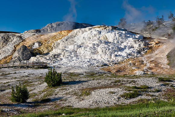 Palette Spring, Mammoth Hot Springs, Yellowstone National Park