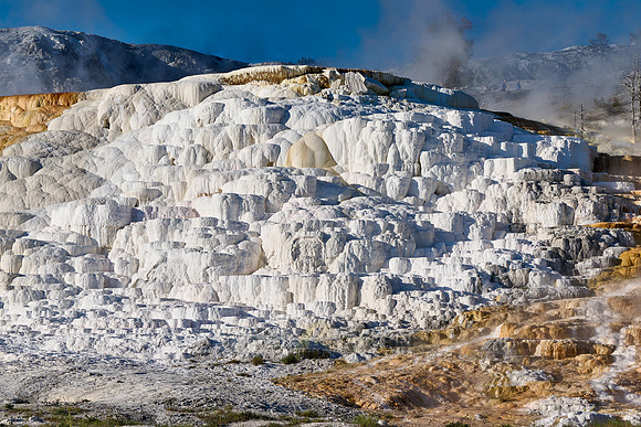 Palette Spring, Mammoth Hot Springs, Yellowstone National Park