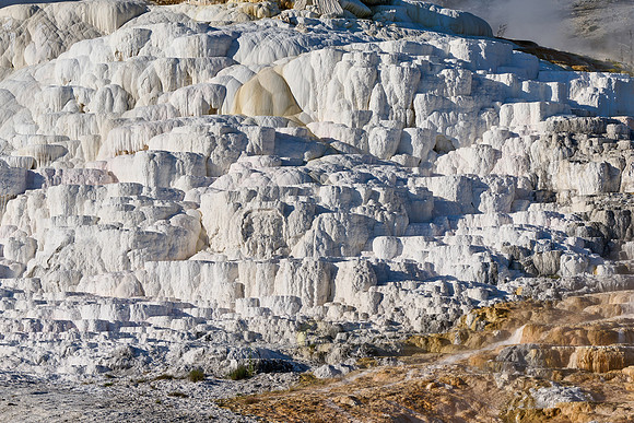 Palette Spring, Mammoth Hot Springs, Yellowstone National Park