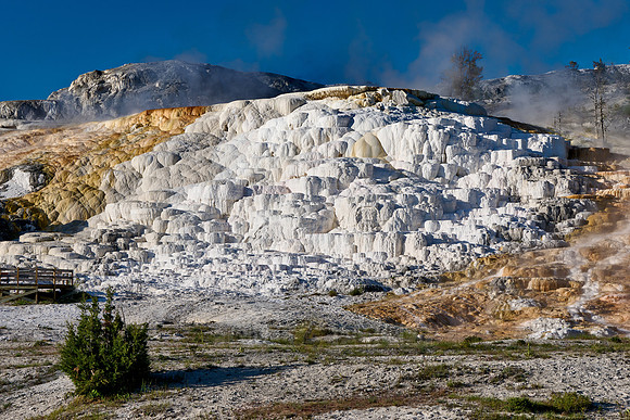 Palette Spring, Mammoth Hot Springs, Yellowstone National Park