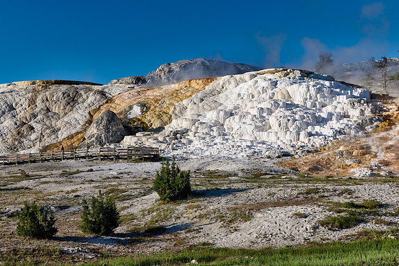 Palette Spring, Mammoth Hot Springs, Yellowstone National Park