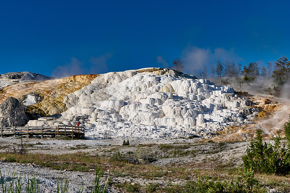 Palette Spring, Mammoth Hot Springs, Yellowstone National Park