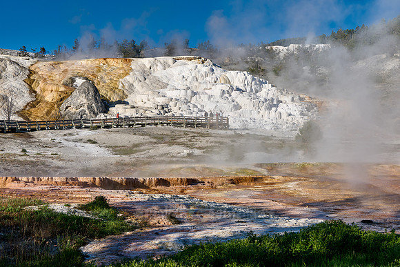 Palette Spring, Mammoth Hot Springs, Yellowstone National Park