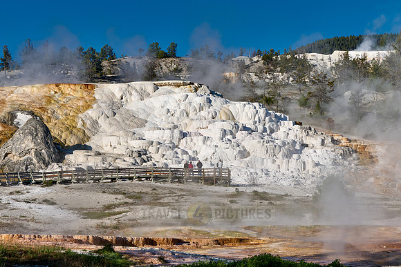 Palette Spring, Mammoth Hot Springs, Yellowstone National Park