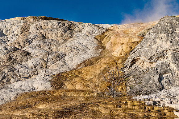 Palette Spring, Mammoth Hot Springs, Yellowstone National Park