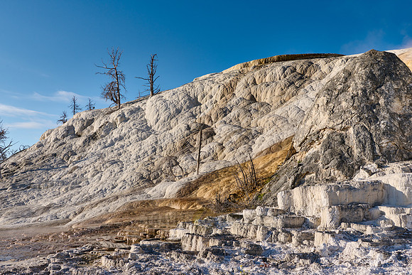 Palette Spring, Mammoth Hot Springs, Yellowstone National Park