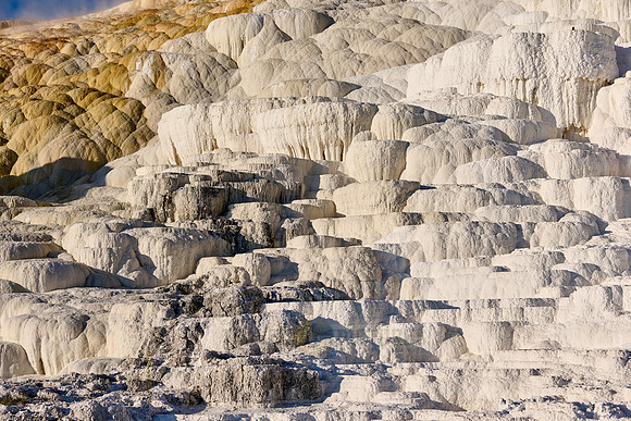 Palette Spring, Mammoth Hot Springs, Yellowstone National Park