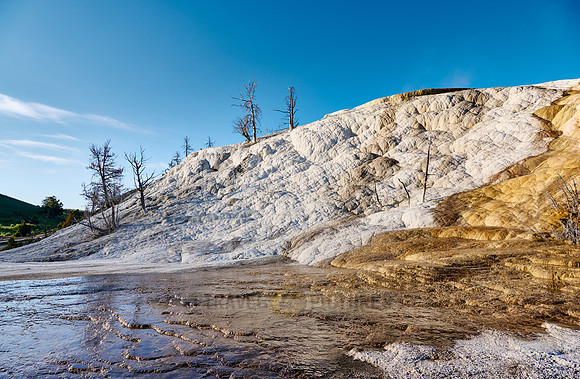 Palette Spring, Mammoth Hot Springs, Yellowstone National Park