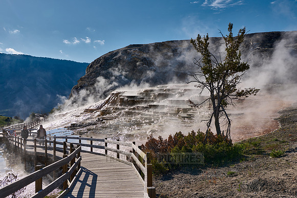Mound Spring and Jupiter Terrace, Mammoth Hot Springs, Yellowstone National Park