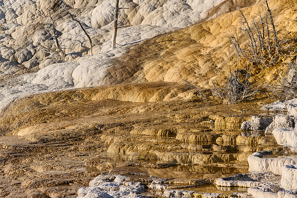 Palette Spring, Mammoth Hot Springs, Yellowstone National Park