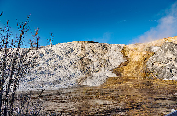 Palette Spring, Mammoth Hot Springs, Yellowstone National Park