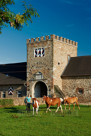 young lady with horses in front of Holzheim castle