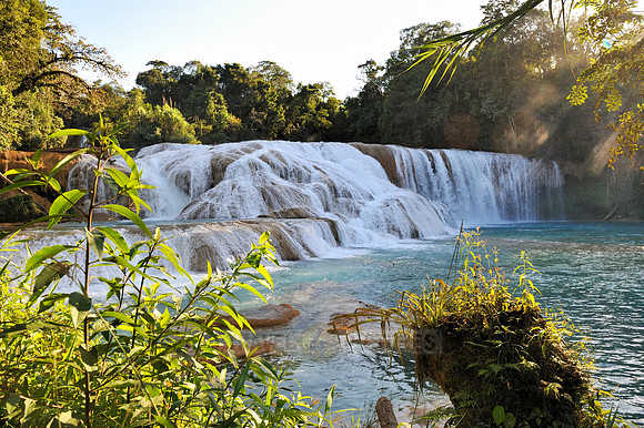 cascades of Agua Azul