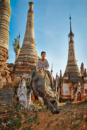 boy on water buffalo between ruins of Shwe Inn Thein