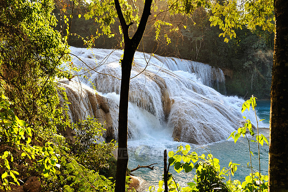 cascades of Agua Azul